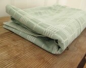 Pale Green Tablecloth