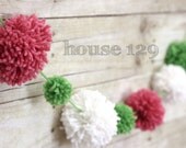 Watermelon Pom Pom Garland (5 FT)