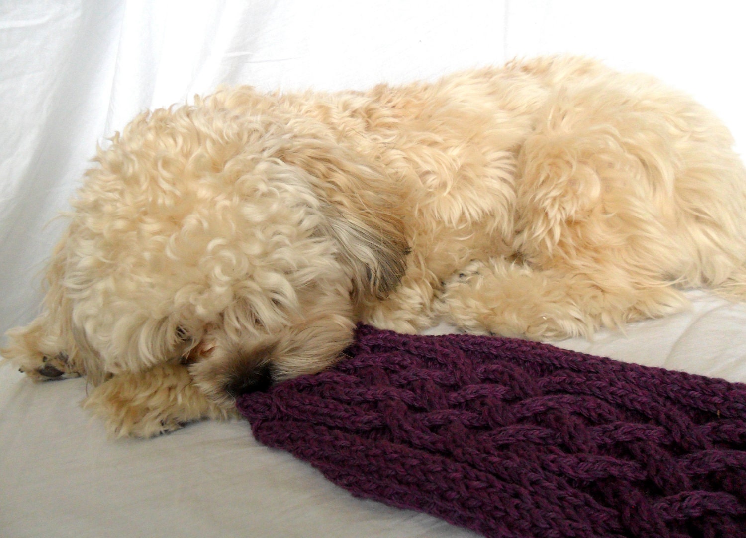 Small Dog Sweater - Celtic Cable, Purple Organic Yarn