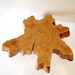 Reclaimed Tree Stump Coffee Table On Vintage Hairpin Legs