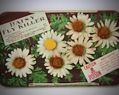 1888 - 1912 Antique Victorian Era "Daisy Fly Killer" Arsenic Poison Tin 3D Skull And Crossbones Danger Insect Insecticide