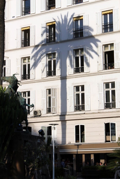 Nautical home decoration, palm tree, Cannes, Mediterranean, summer in south France, Europe, photo, 5x7 (13x18) fine art photography