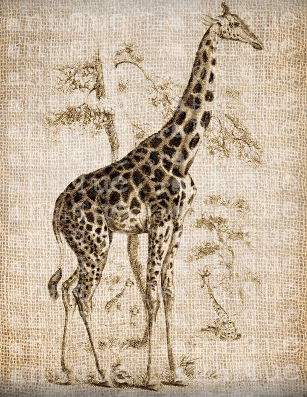 Antique SEPIA Giraffe Safari Animal Grassland Africa Digital Download for Tea Towels, Papercrafts, Transfer, Pillows, etc Burlap No 3269