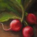 Giclee, Archival, Matted Print of an Original Oil Pastel Painting of Radishes
