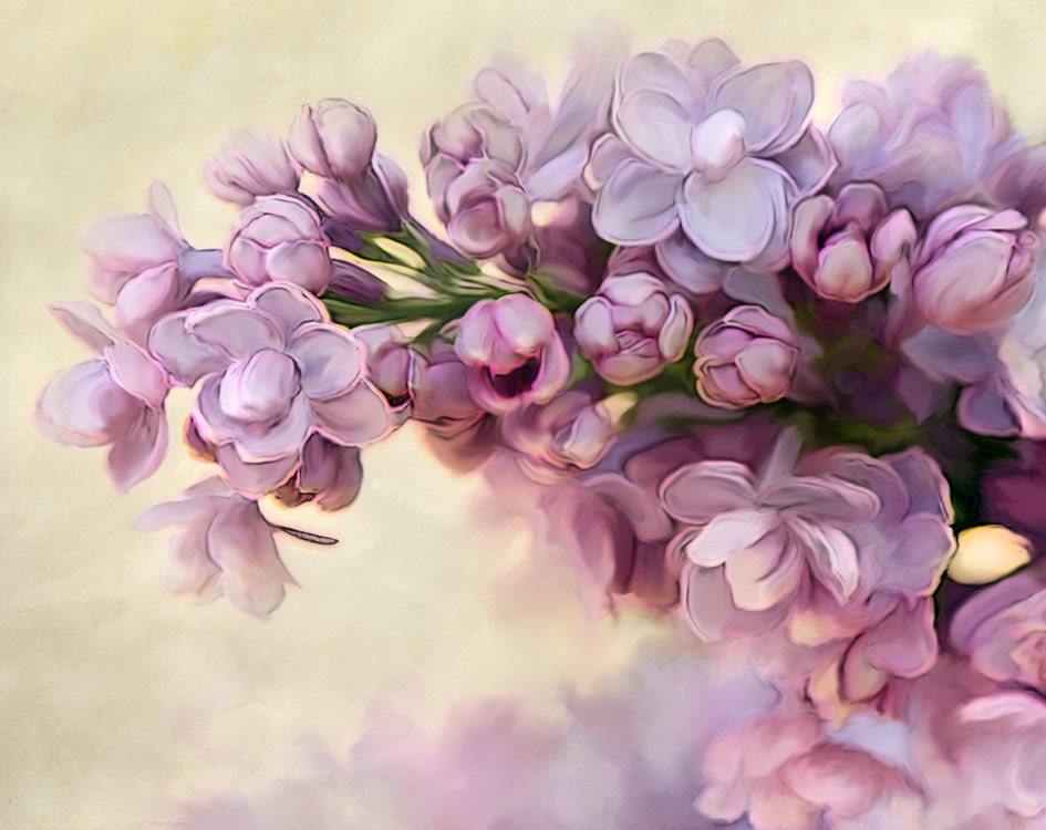 Floral Photography, Art Photo, Lilac Photo, Lilac Print, Shabby Chic, 8x10 Flower Print, Lilacs - cmqstudio