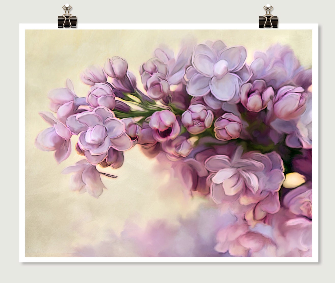 Floral Photography, Art Photo, Lilac Photo, Lilac Print, Shabby Chic, 8x10 Flower Print, Lilacs