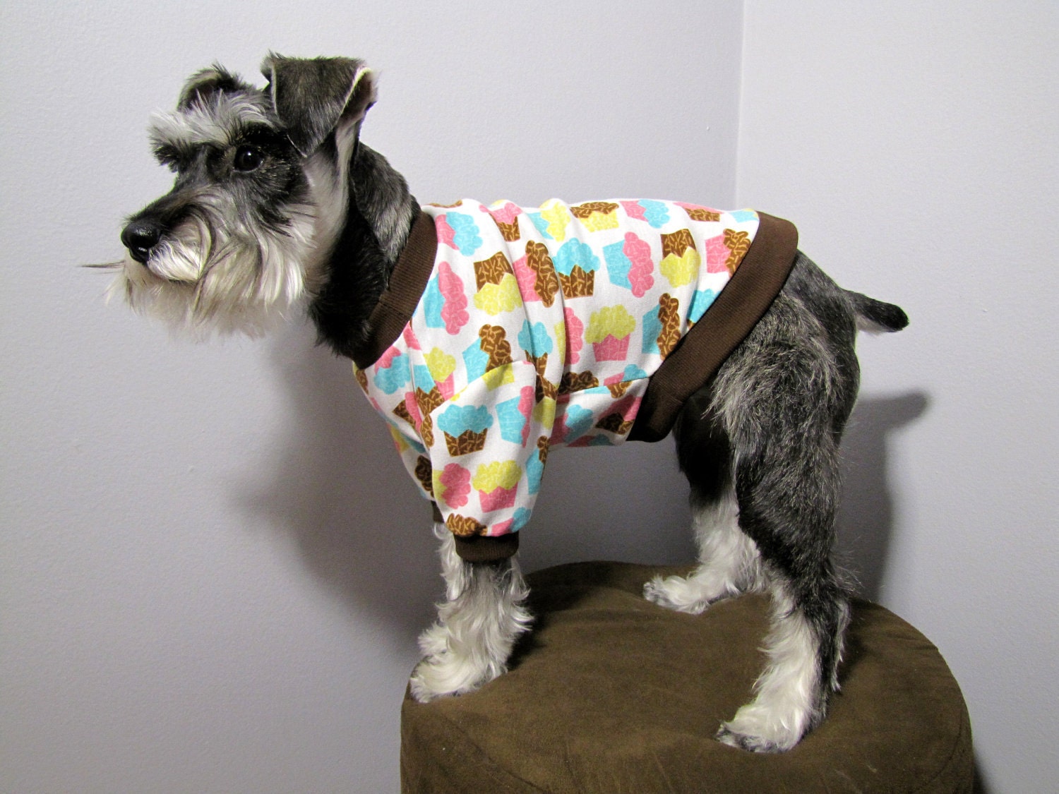 Happy Birthday Dog Cupcake Shirt
