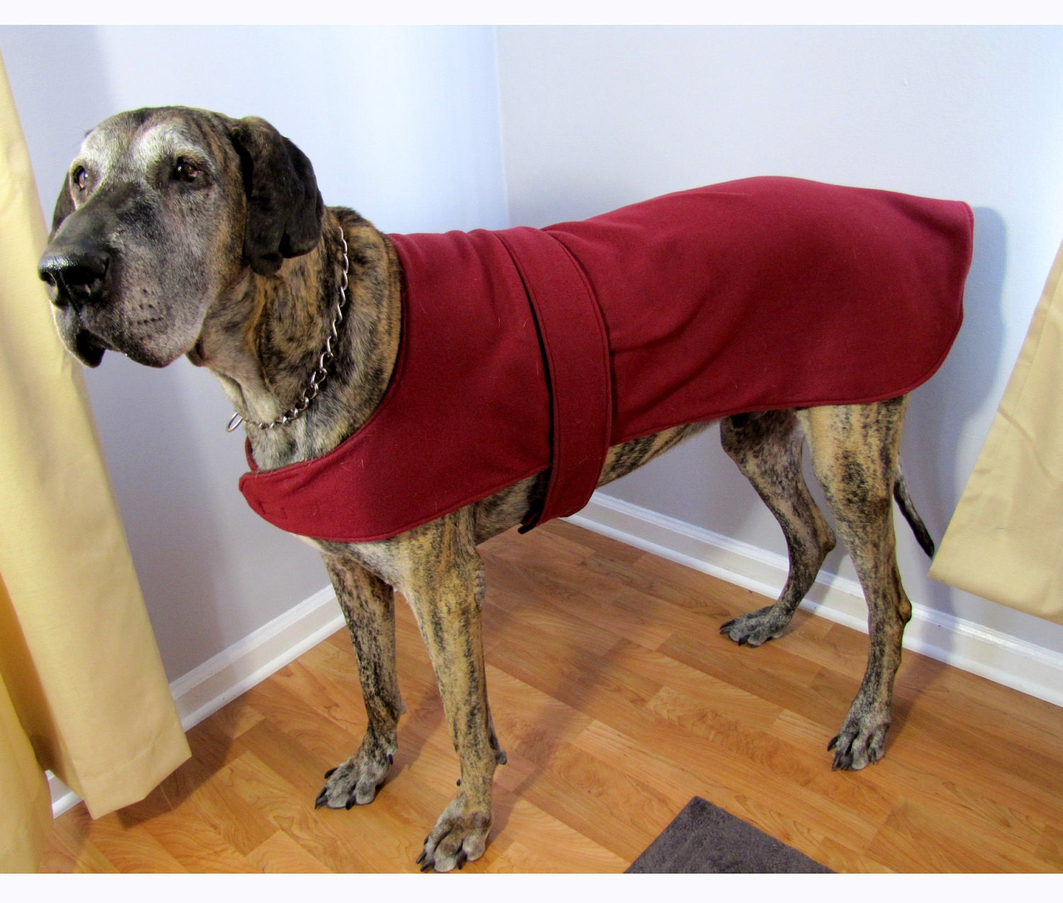 Great dane fleece jackets Clearance