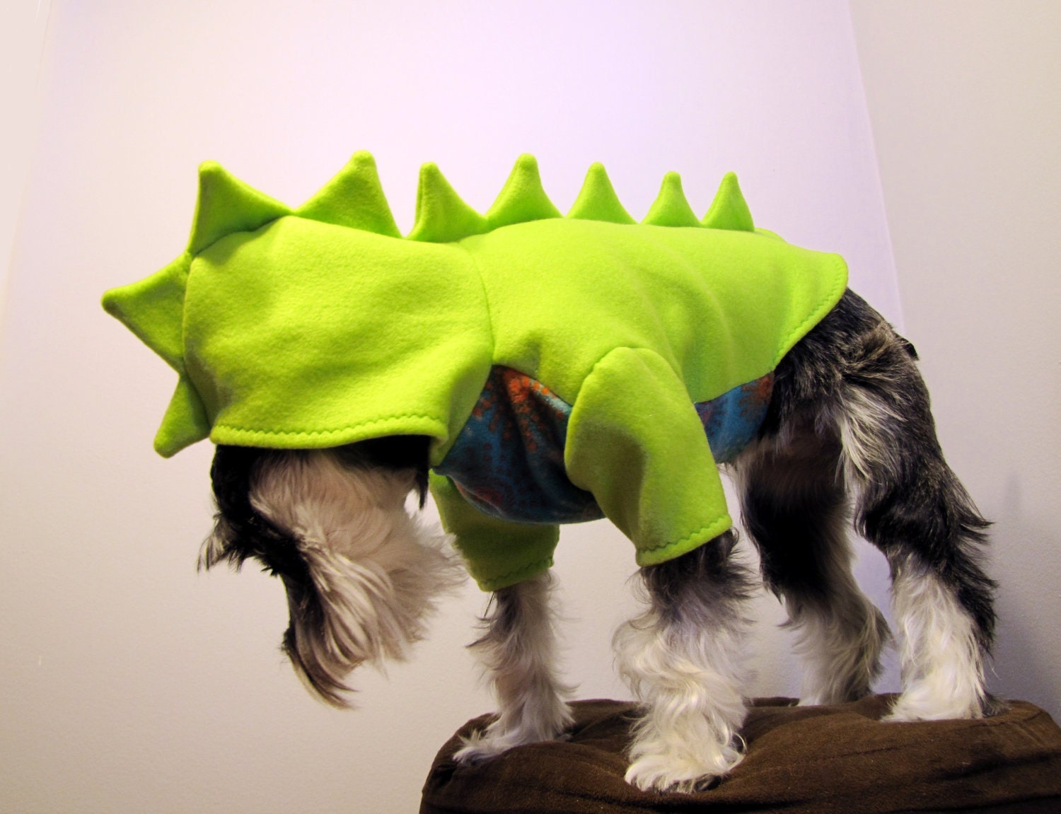 Halloween Dinosaur Fleece Dog Costume