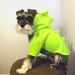 Halloween Dinosaur Fleece Dog Costume
