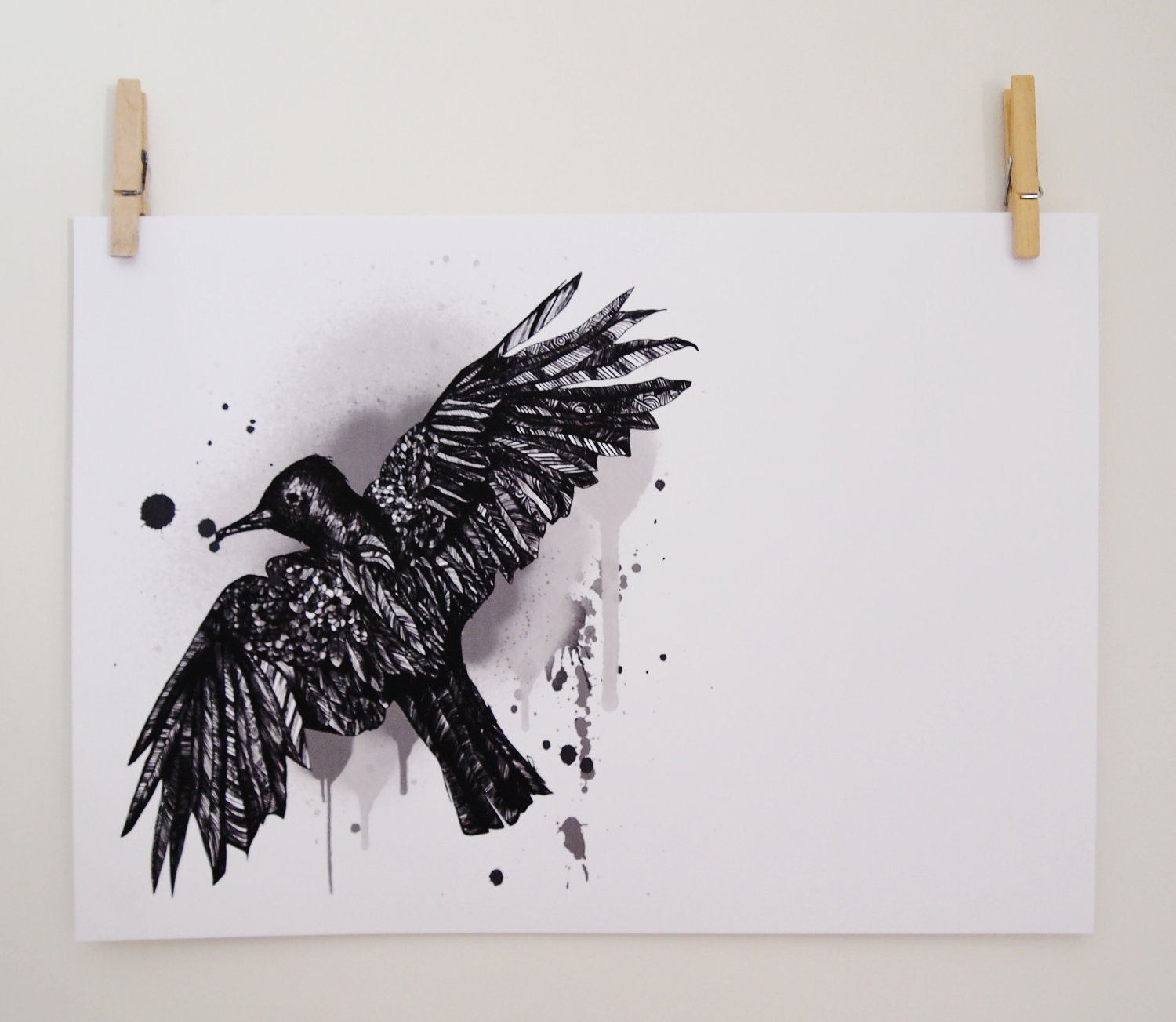 Blackbird Illustration Print - black and white bird drawing A3, 16.5" x 11.7" Art Print