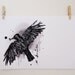Blackbird Illustration Print - black and white bird drawing A3, 16.5" x 11.7" Art Print