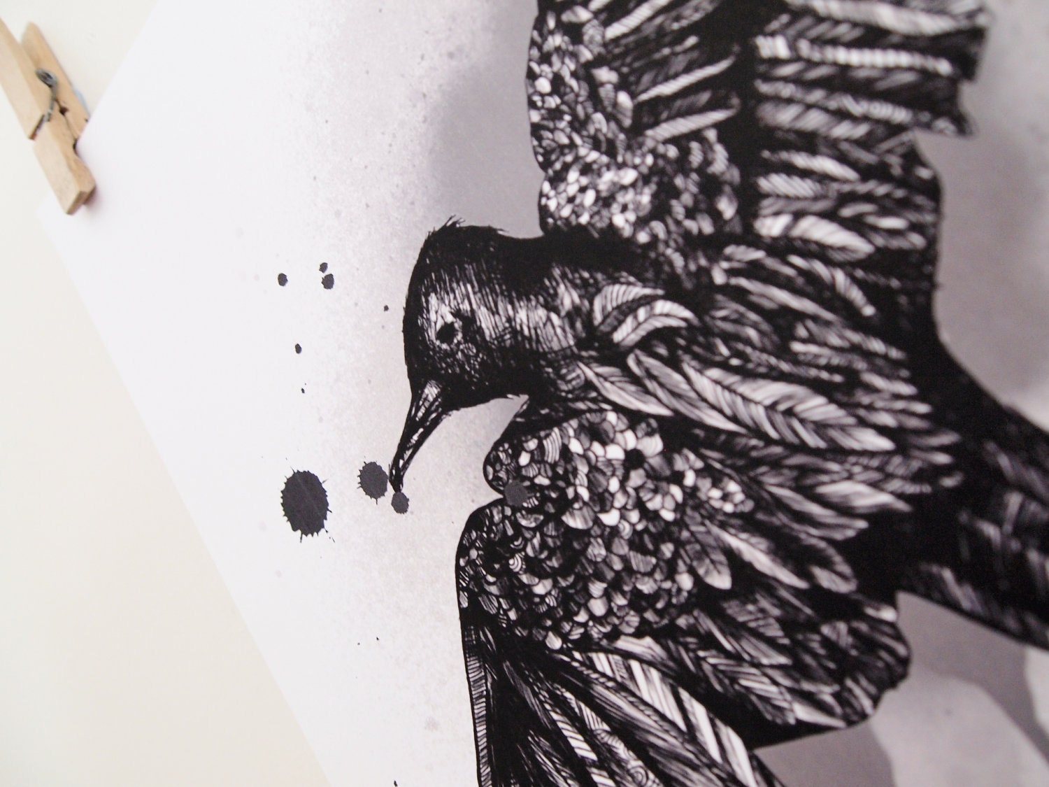 Blackbird Illustration Print - black and white bird drawing A3, 16.5" x 11.7" Art Print