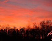 Sunset Pink Purple Orange Fire Black Tree Horizon Sky Blue Winter Color 8x10 Fine Art Photography Nature Landscape