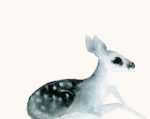 Deer Fawn Artwork -Watercolor Animal Print from Original Painting