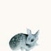 Fawn Art - Tiny Resting Ghost Fawn