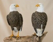 Bird Carving- Hand Carved American Bald Eagles - Made In Amercia