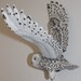 Bird Carving Owl - Hand Carved Full-Size Snowy Owl Wall Mounted on Walnut Plaque