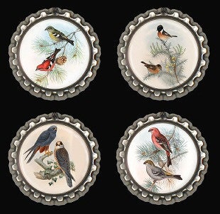 Bird Magnets Fridge Office Locker Scrapbooking Bottle Caps Set of Four