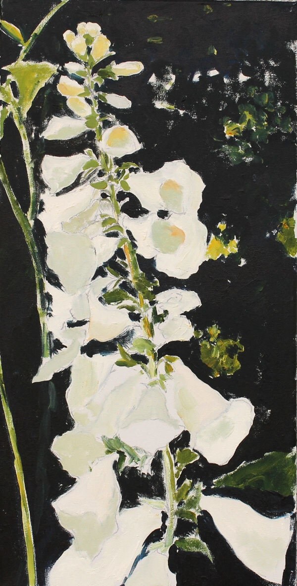 Foxglove Painting Original Oil flower still life on Canvas Black White floral Canada 12x24