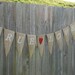Burlap Banner- True Love