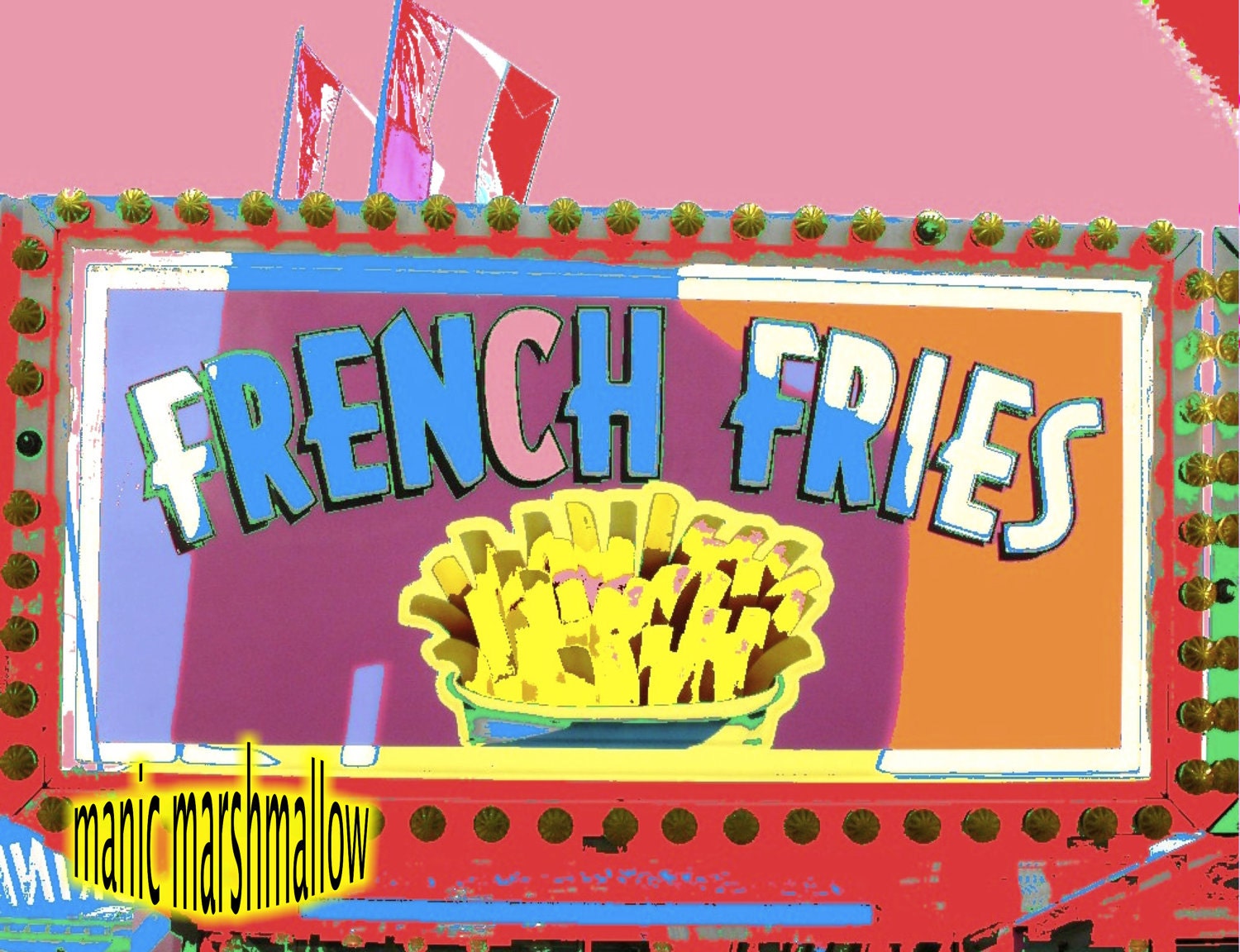 carnival french fries
