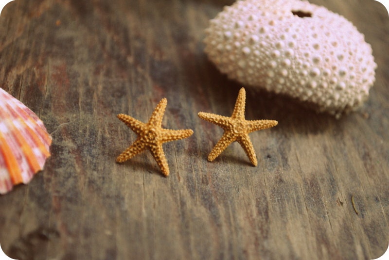 Beach Ear Studs: Seeing Starfish
