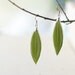 Real leaf earrings - Green nature inspired earrings - Amigdalus nana leaves