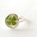 Four leaf clover ring - 4 leaf clover handmade lucky jewelry - Trifolium repens