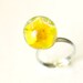 Globe Resin Ring real flower - Yellow ball ring handmade jewelry - Salvia splendens
