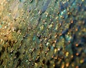 Golden Morning - 8x10 - Color Nature Photography
