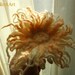 Bright Sun brooch from felted merino wool
