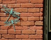 Pair of Dragonflies Wall Hanging, Dragonfly Garden Wall art