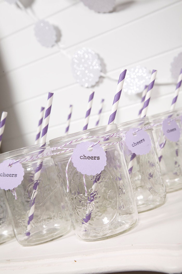 Purple Party Drink Kit