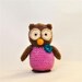 Crochet Owl Childrens Toy, Nature Inspired Soft Toy, Gift for Kids