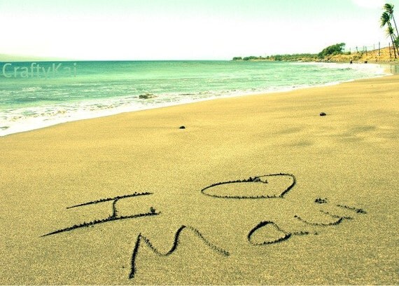 essay about a trip to the beach essay about a trip to the beach