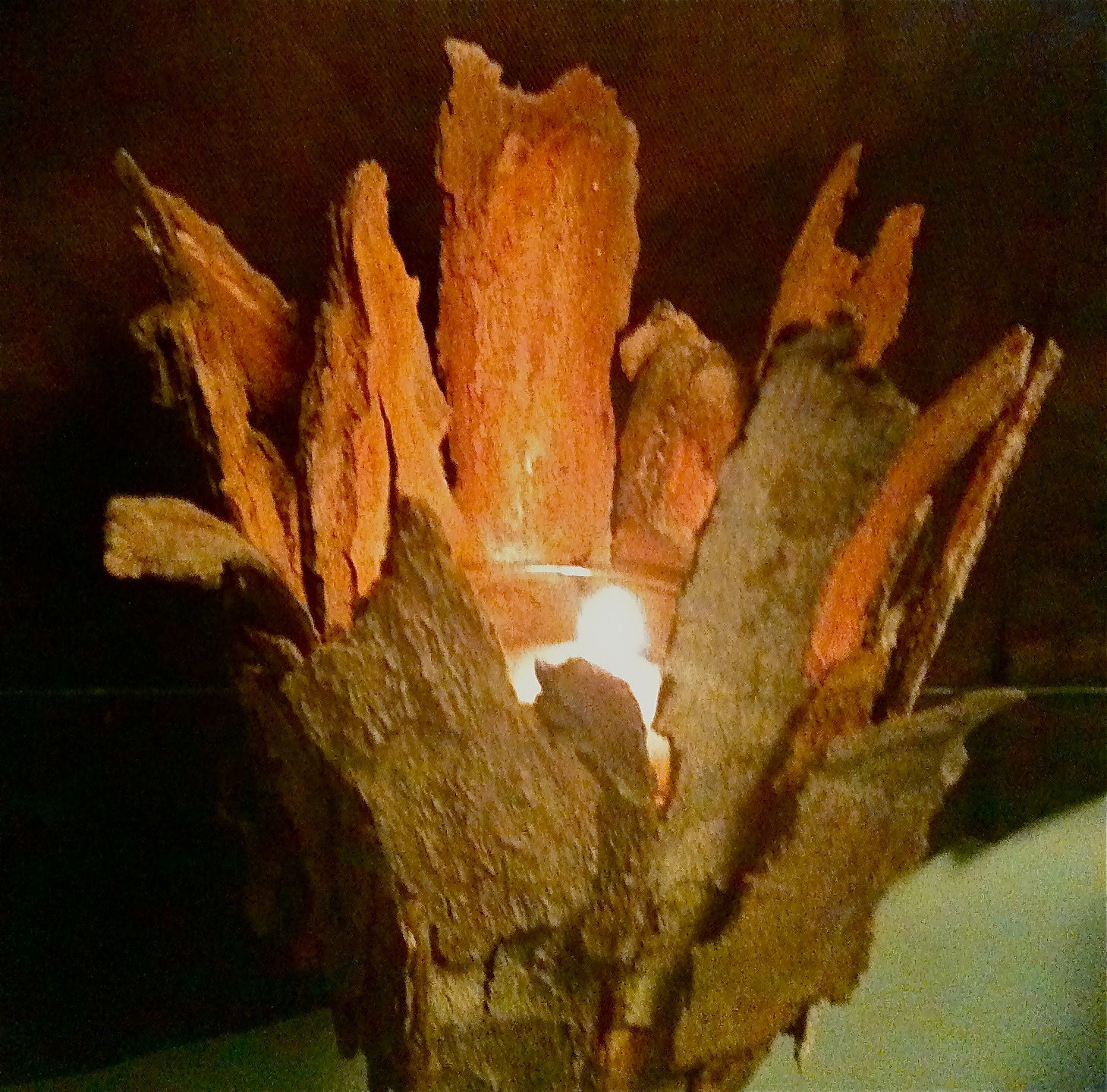 Items similar to Tree Bark Candle Votive on Etsy