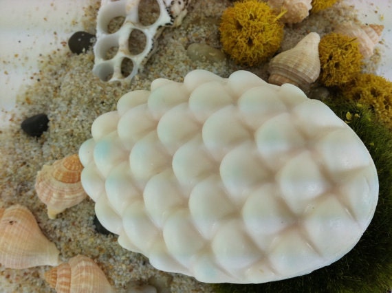 Deserted Island Scented Shea Butter Bar Soap - Ocean, Earth, Floral, Vanilla