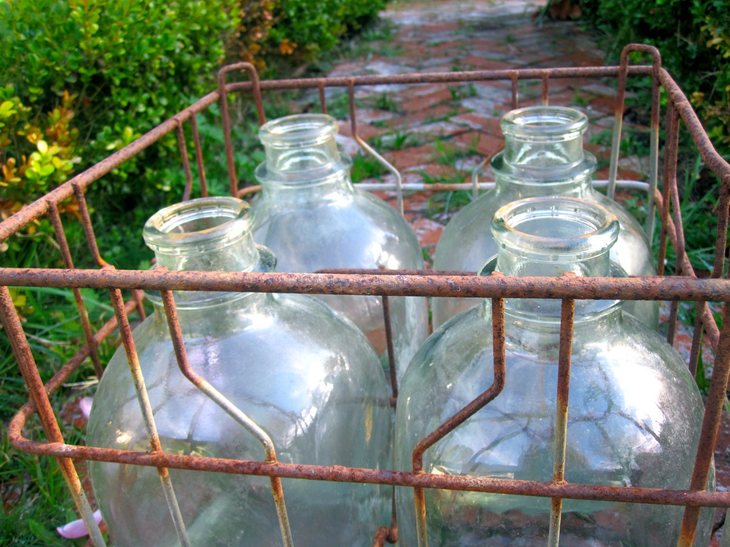 Vintage Milk Jugs and Metal Milk Crate Set of 4 Gallon Jugs, Wedding