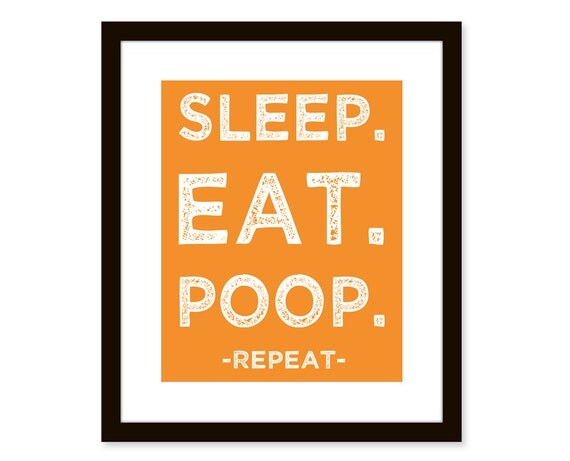 Sleep Eat Poop poster-Funny playroom wall decor - typography print