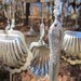Flatware Seashell Wind Chime Free Shipping