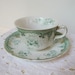 Antique Alfred Meakin Teacup Selwyn Pattern- Royal Semi-Porcelain, 1891-1930, Green Floral