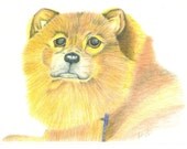Custom Pet Portrait from your Favorite Photograph