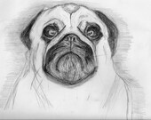 Pug love