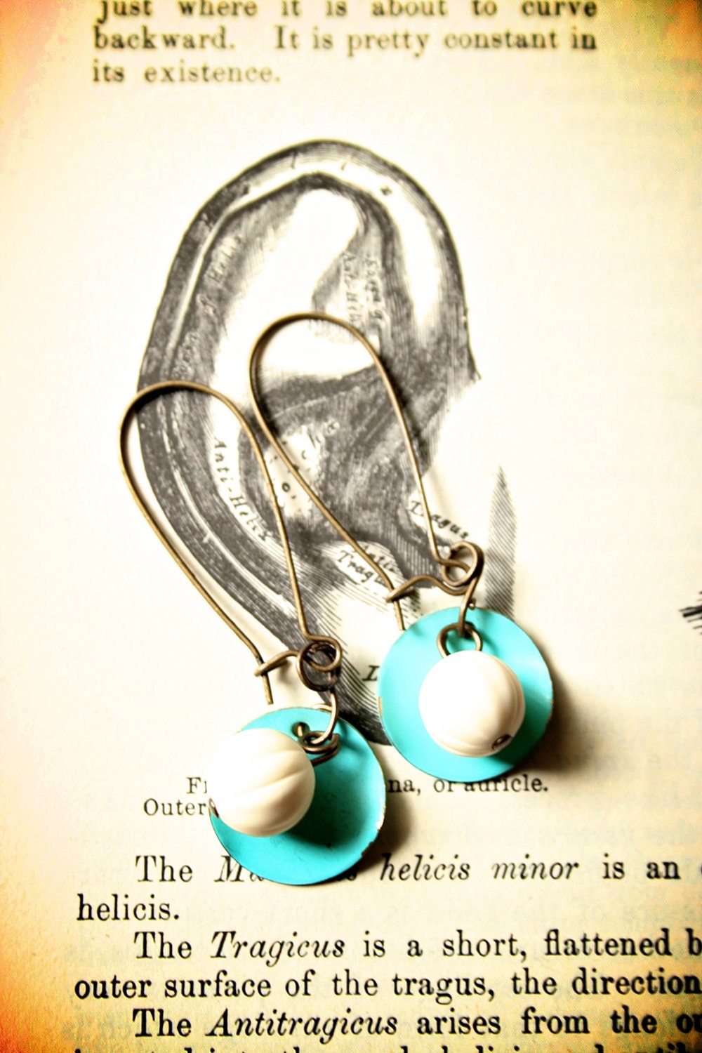 Teal and White Kidney Earrings