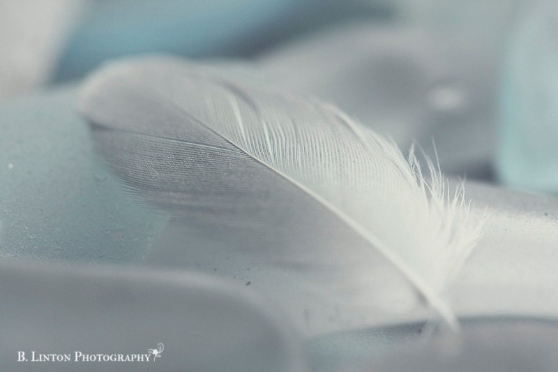 Beach Glass Photography - Alaska - 8x12 Fine Art Photography Print - Feather Photograph