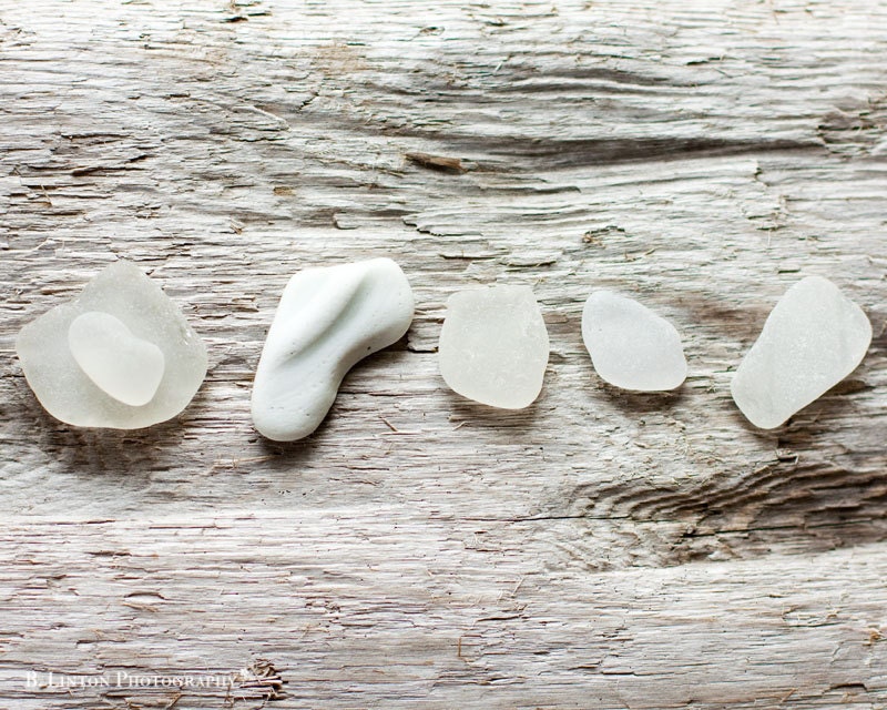 Beach Glass Photography - Sea Glass Photograph - 8x10 Fine Art Photography Print - White Grey Home Decor