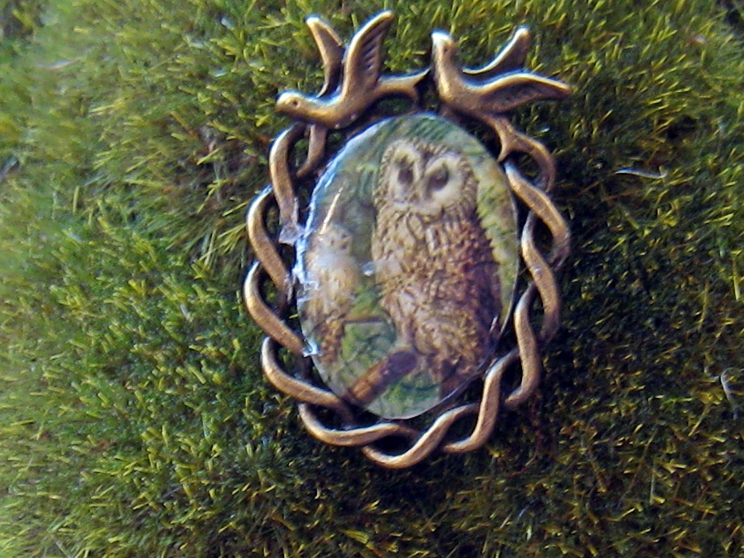 Barnyard Owls Photo Pendant