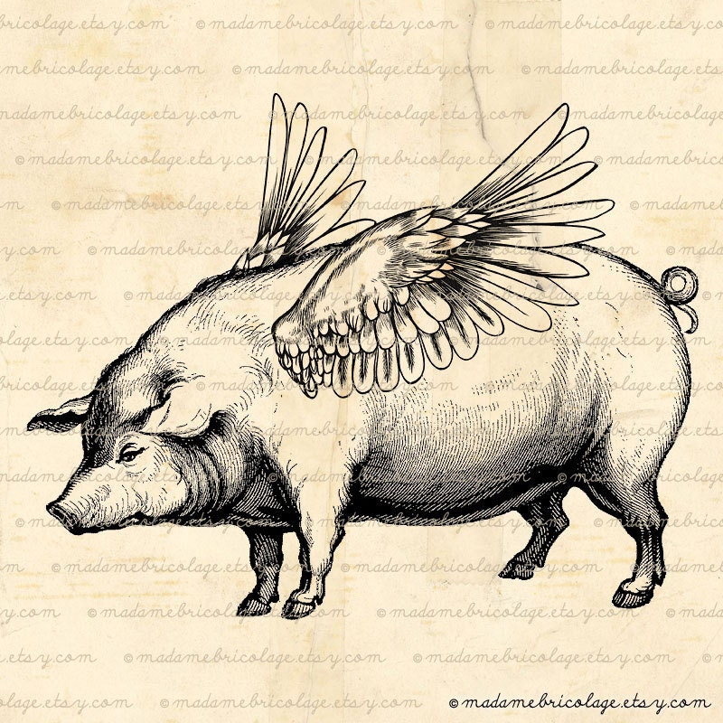 Flying Pig Winged Wings Pegasus Digital Download  for Iron on Transfer, Papercrafts, Pillows, T-Shirts, Tote Bags, Burlap, No 00183