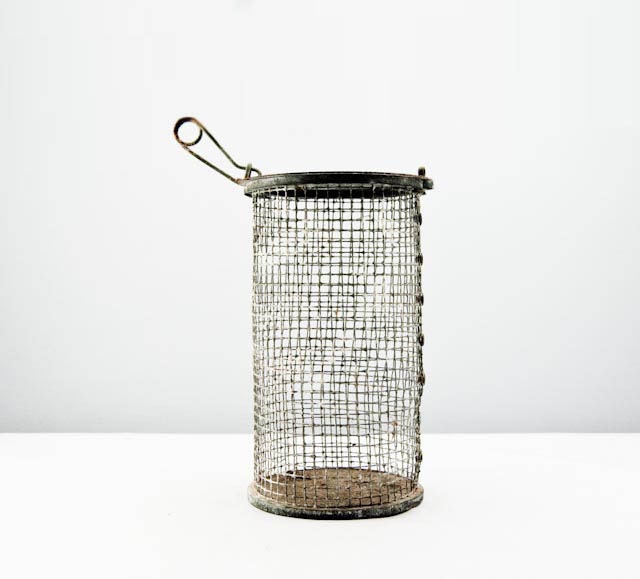Antique Metal Wire Net Cricket Cage or Live Bait Bucket